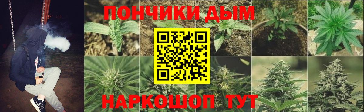 МАРИХУАНА тримм  Бошки Шишки конопля  Вход с VPN  МАРИХУАНА SATIVA & INDICA  Нововоронеж 